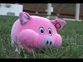 Pigskin Pigout Pigskin Pigout