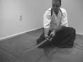 Ogawa Ryu Nuki Todome kaeshi