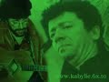 MATOUB LOUNES par TAKFARINAS  (hommage)