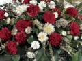 RECIBI FLORES HOY (DRAMATIZACION)