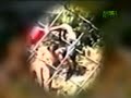 Untamed and Uncut - Lions Maul Zookeeper Untamed and Uncut - Lions Maul Zookeeper