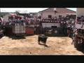 Encerro 2 2008 - Forcalhos - Parte 2