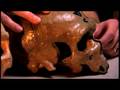 videos de Skulls Change from Neandertals to humans