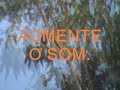 O canto do Guacho.