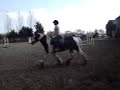 Trotting on By
