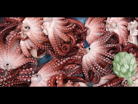 how to properly cook octopus