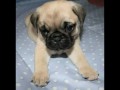 Harley's first year!