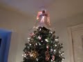 Schnauzers Dreaming of Christmas