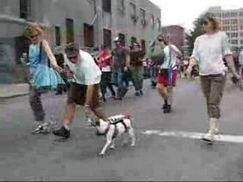Williamsburg Goes to the Hipster Dogs