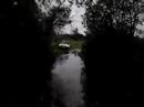 Carlos Imóveis trilha Carlos Imóveis trilha