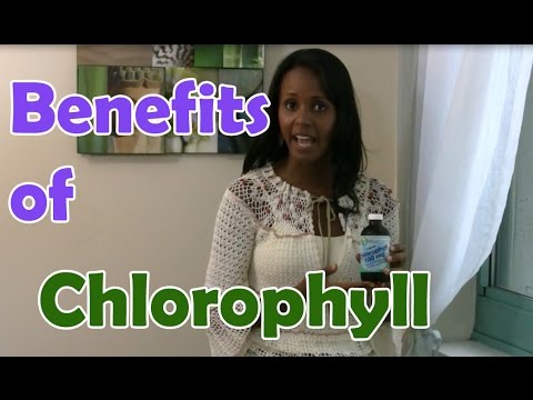 how to rebuild hemoglobin