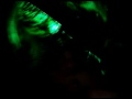 malynda-water-slides.html