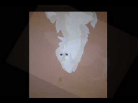 Image de prévisualisation YouTube