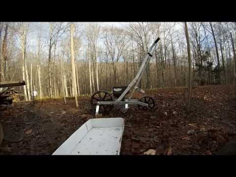 how to replant garlic cloves