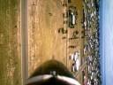 Thunderbird Over Moonta!