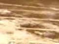 videos de Alex Englund