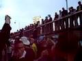 videos de city Parade 2008