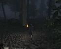A night time stroll in Chorrol Hinterland w/ FCOM