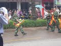 Neujahrsparade I
