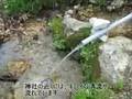 会津東山サイクリング02