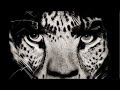 INTERVIEW with ALBERT WATSON