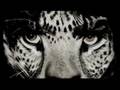 INTERVIEW with ALBERT WATSON