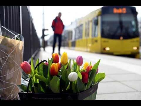 Niederlande: 3 Festnahmen in Utrecht - Rtsel um Motiv  ...