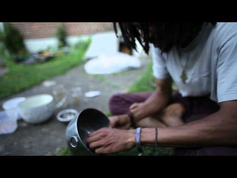 how to harvest heirloom seeds