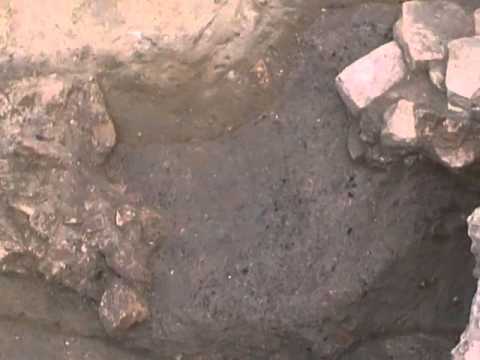 guarda il video