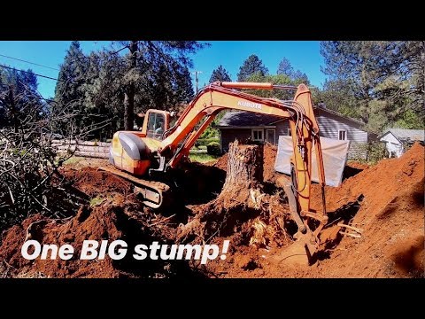DIGGING OUT A HUGE PINE STUMP WITH KUBOTA KX080-3 (3+foot stump)