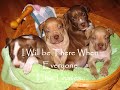 The  Pit  Bull Oath