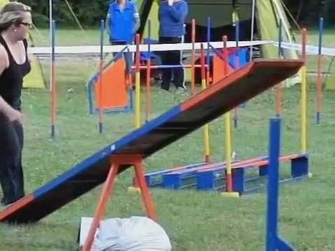 collie - International Border Collie Championship 2012 SLOW MOTION MOVIE by www.DogSports.cz 1.-3.6.2012 Strážnice - Czech republic www.DogSports.cz www.DogSports.inf...