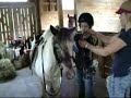 Toodles and Mojo\