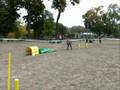 IWONA & GUCIA - zawody agility Warszawa 11-12.10.08