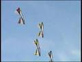 Revolution Kite Megateam - 26 Kites - Berck, 2008