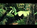 Libreville - YouTube