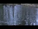 Thumbnail #2