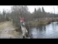 Strömhult flugfiske bonanza rainbow trout