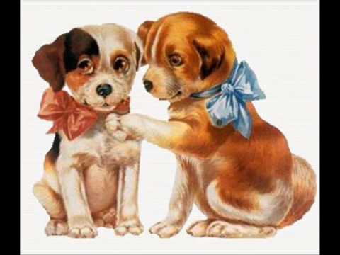 Image de prévisualisation YouTube