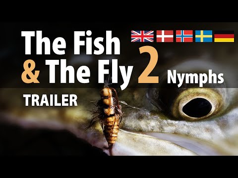 The Fish & The Fly 2 Nymphs