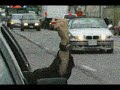 Mr. Invincible #15: Road Rage