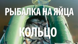 Где купить пвх ткань в Спб