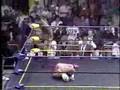 Sting Vs. Ravishing Rick Rude