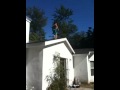 videos de Insane front flip off of house