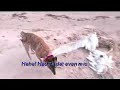 Floeboe & Keizer op het strand