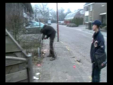 Zink 901 Overdag