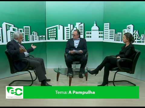 Ecologia e Cidadania – A Pampulha bloco 3/3