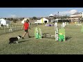 2008 Cynospot Lil J PVP 16\ 2008 Cynospot Lil J PVP 16\