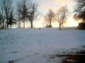 sledding