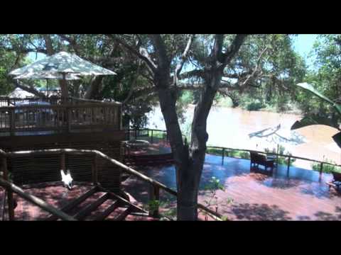 On Safari in Kruger National Park with Naledi Game Lodges